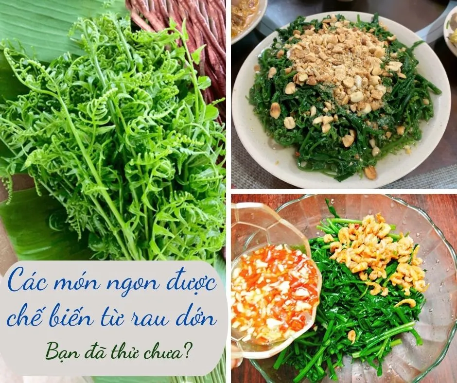 Cách Nấu Rau Dớn Xào Tỏi Thơm – Ngon – Dễ Làm