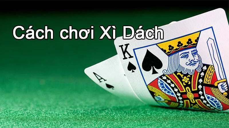 Hướng Dẫn Cách Chơi Bài Xì Dách Chi Tiết A – Z Cho Người Mới