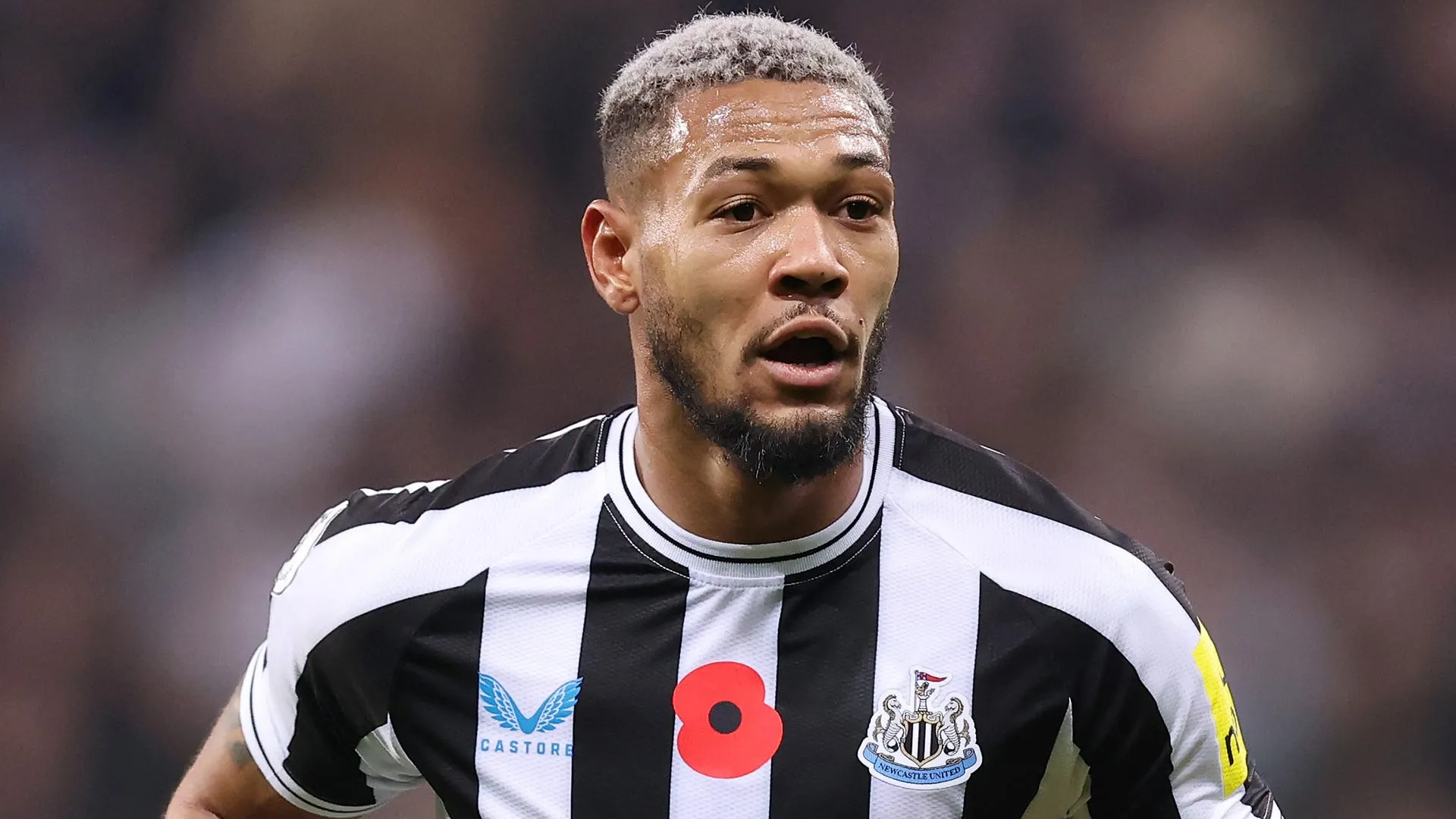 Joelinton Là Ai? Tiểu Sử Và Sự Nghiệp Đỉnh Cao Của Joelinton