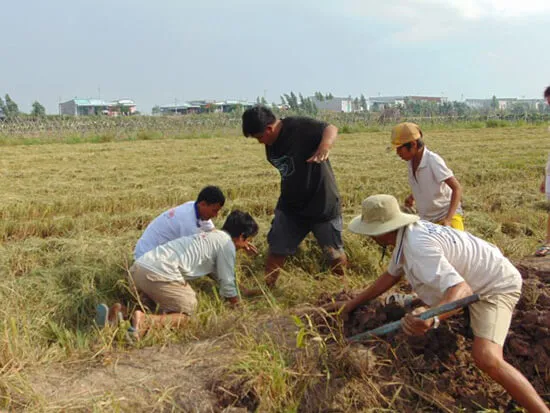 Mơ Thấy Chuột Đánh Con Gì? Bật Mí Con Số Tài Lộc Chuẩn Nhất