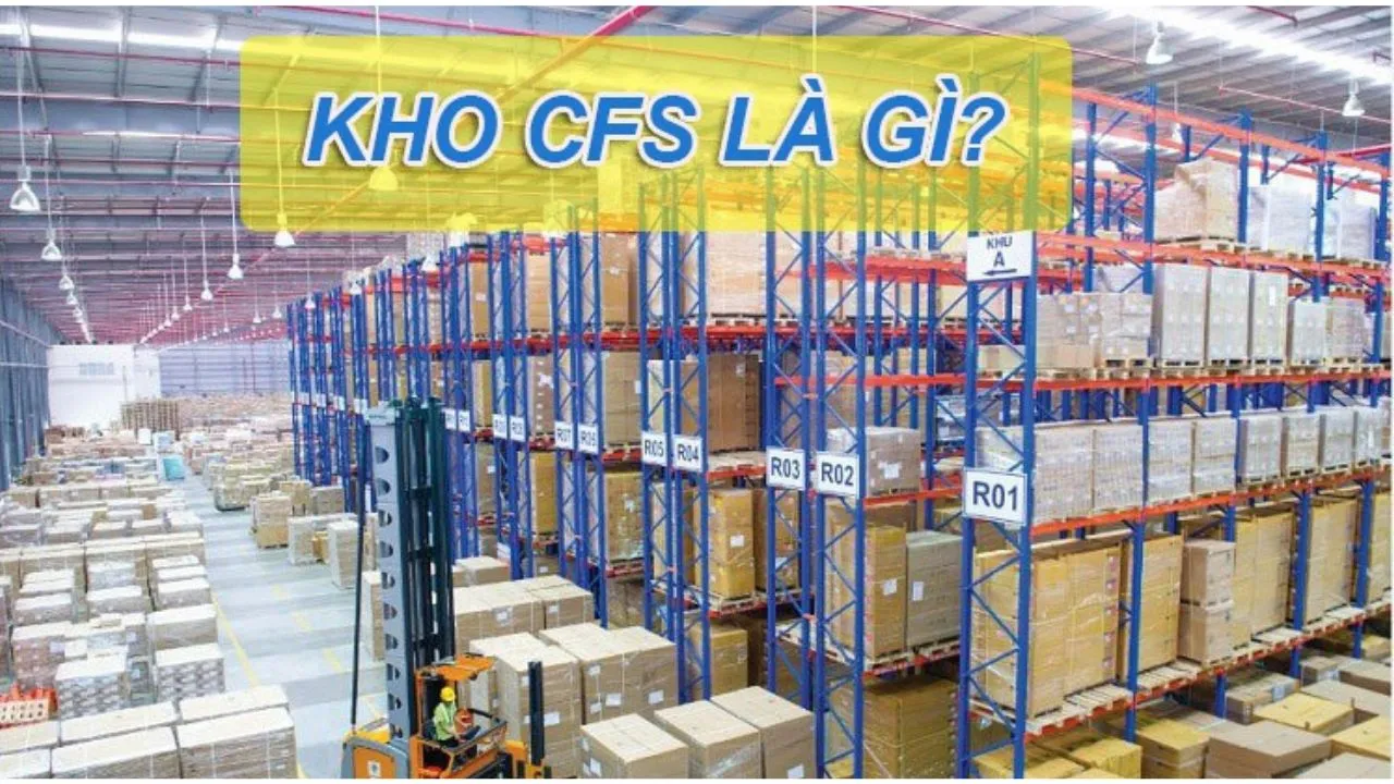 Phân Biệt Kho CFS Và Ngoại Quan Chính Xác Nhất Bạn Nên Biết