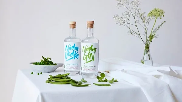 Rượu Gin Là Gì? ⚡️ Top +9 Các Dòng Rượu Gin Nổi Tiếng Nhất