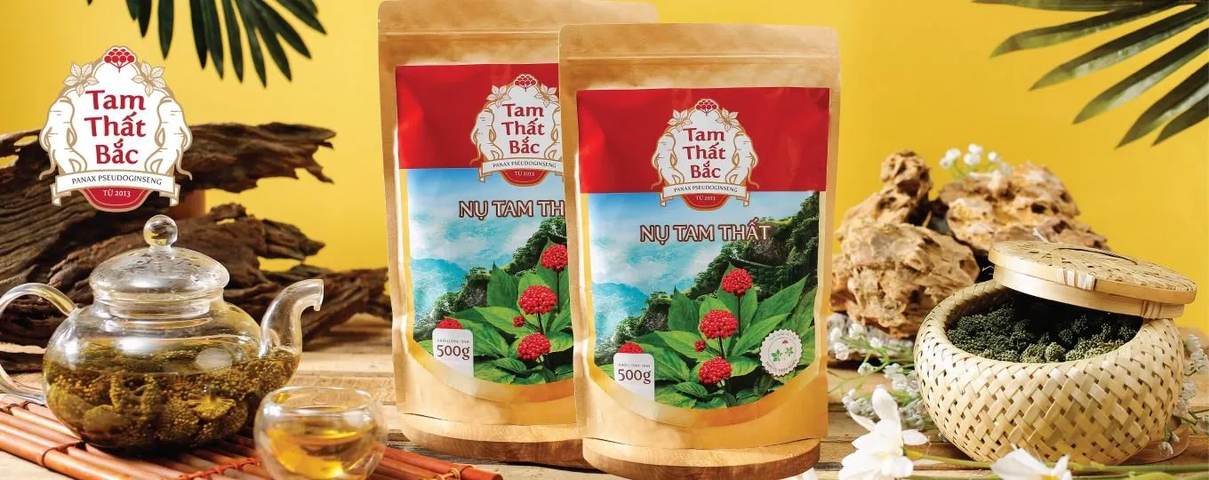 Top +5 Địa Chỉ Bán Tam Thất Uy Tín & Chất Lượng Nhất Toàn Quốc