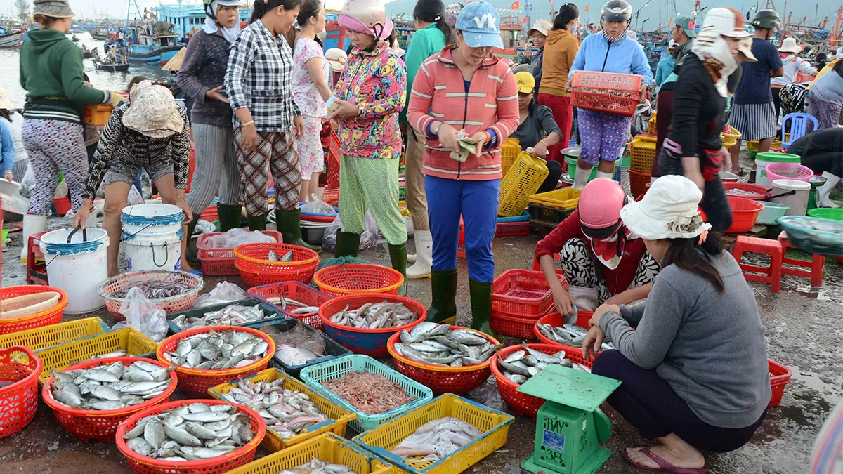 TOP 7 Địa Điểm Mua Hải Sản Tươi Sống Ở Đà Nẵng