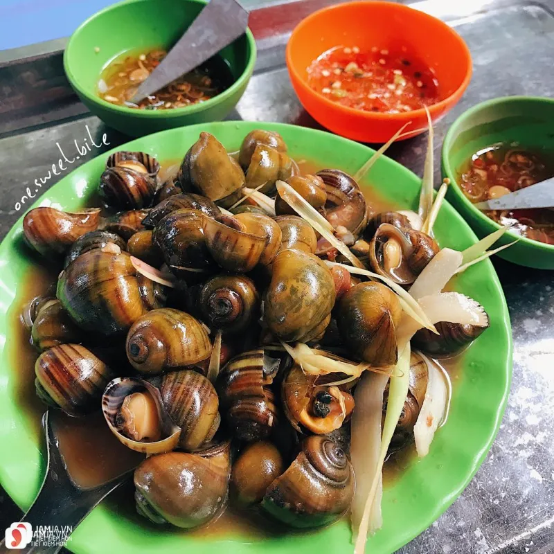 TOP 7 Quán Ốc Ở Hội An Ngon Khó Cưỡng